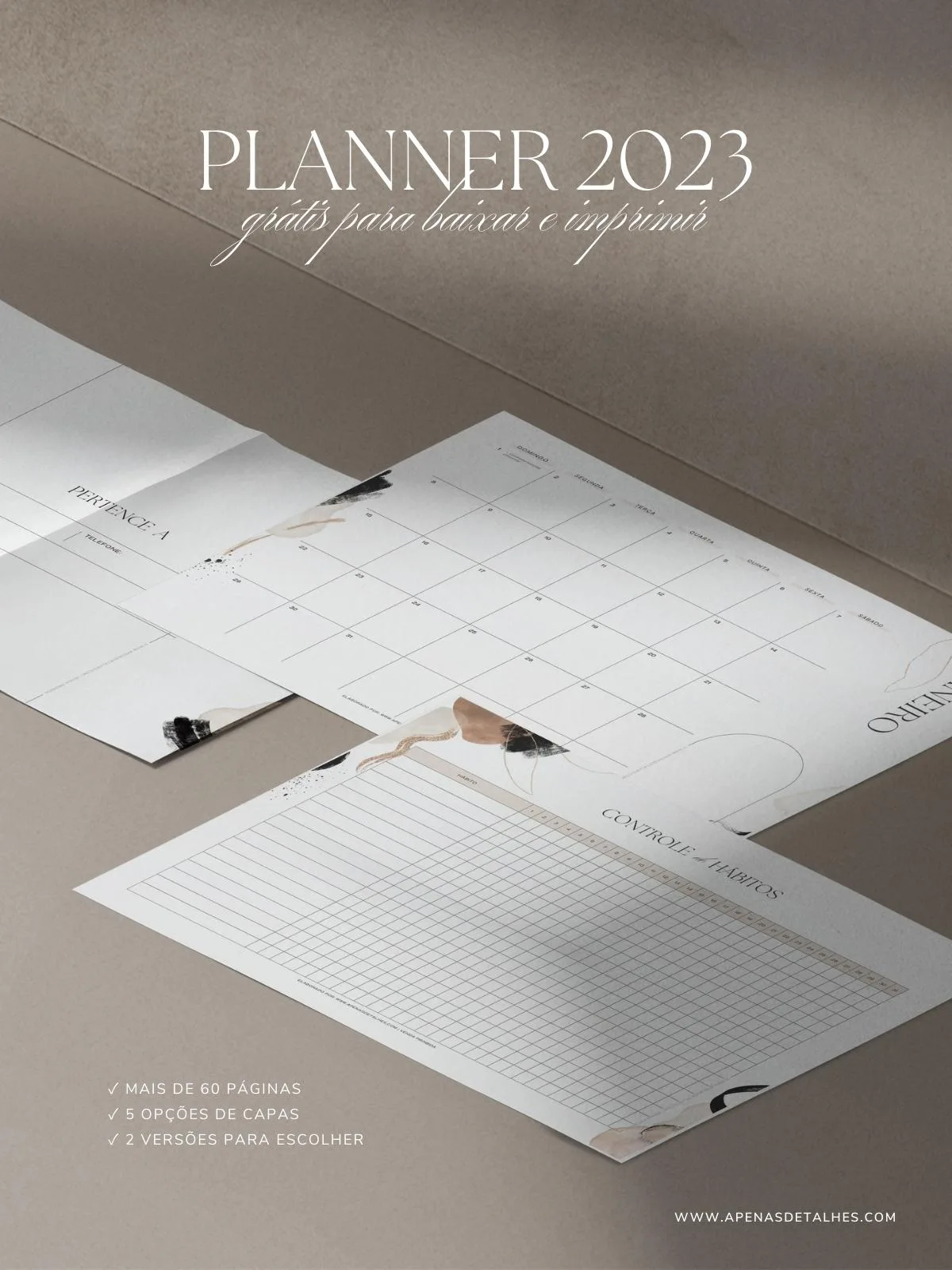 Planner 2023 para imprimir - pdf com download grátis