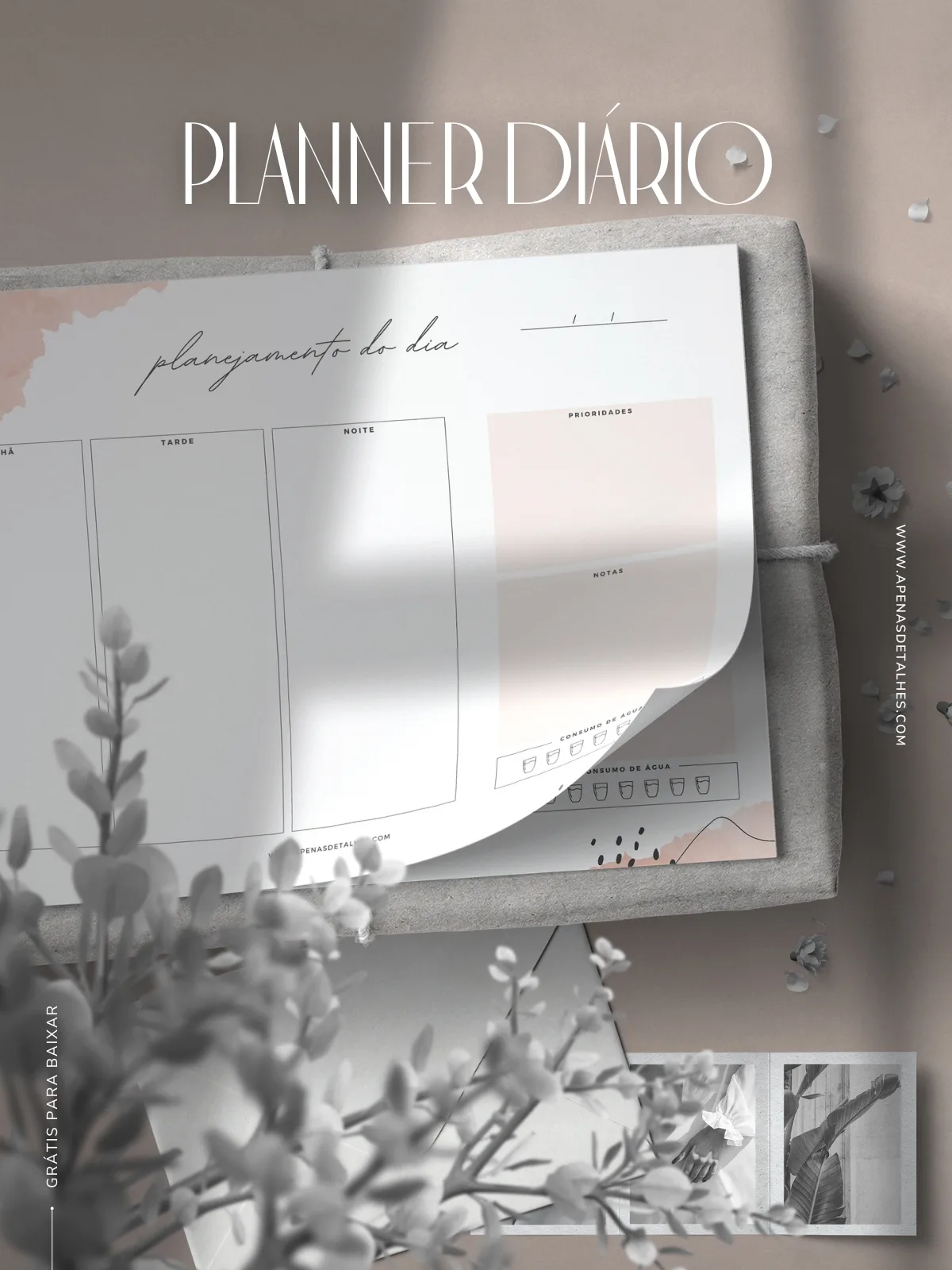 Planner diário para baixar gratuitamente e imprimir
